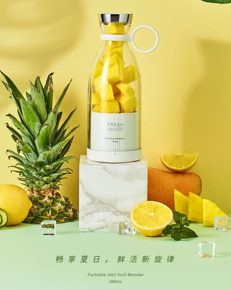 Portable USB Mini Blender