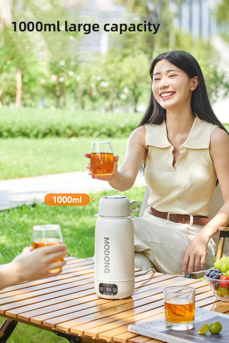 Car Electric Heating Kettle