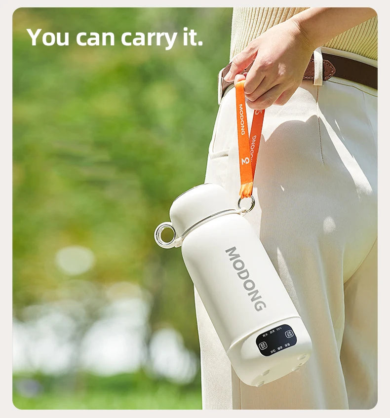 Car Electric Heating Kettle