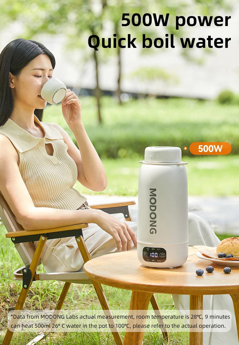 Car Electric Heating Kettle