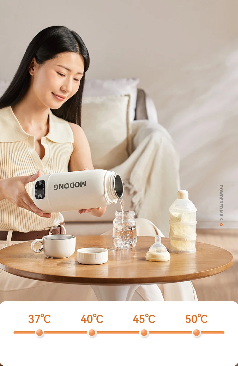 Car Electric Heating Kettle